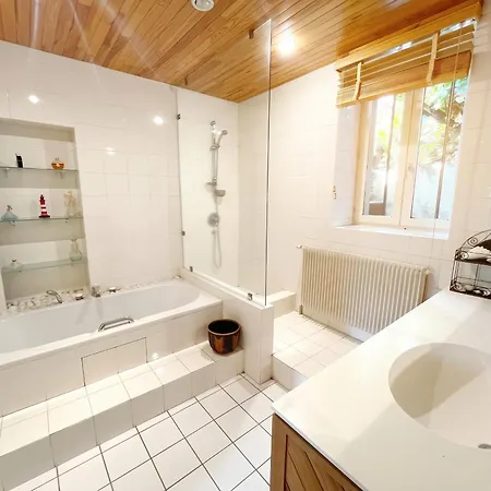 Maison 190 M² Avec Piscine * Saint-Nectaire