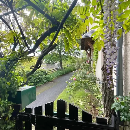 Maison 190 M² Avec Piscine